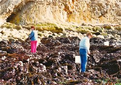 AVHS_Marine.Biology_6.jpg