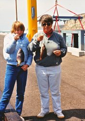 Striped.Perch_PA_1987_Linda_Debbie_1b.jpg