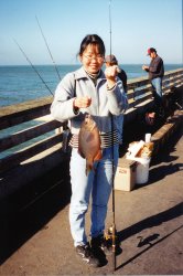 Kimiko_PAPier_Striped Perch.1a.JPG