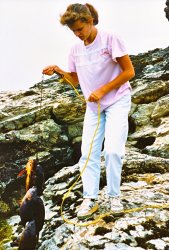 1990_Monica_Point.Arena.3.jpg