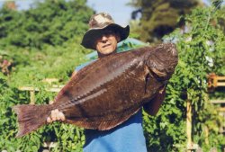Halibut_Balboa_2004_7.16_Gary.Evans.jpg