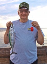 Bonito_Balboa_2015_Mike.G.2.jpg