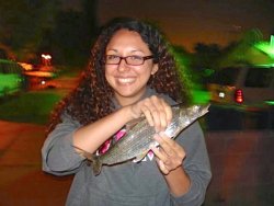 Bonefish_Balboa_2007.jpg