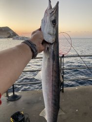 IMG_8703.JPEG
