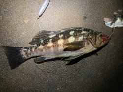 IMG_8708.JPEG