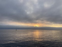 IMG_8729.JPEG