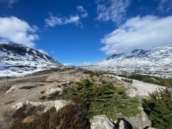 2024.5.30_7_Yukon_Mountains_X.jpg