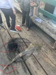 IMG_1177.jpeg