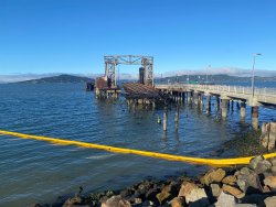 2024.8_Ferry Point Pier.7.jpg