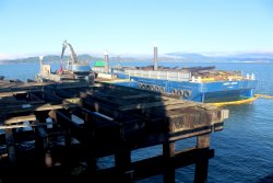 2024.8_Ferry Point Pier.23_Construction.jpg