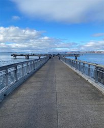 2024.8_Paradise Park Pier.2_X.jpg