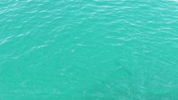 vlcsnap-2024-09-05-19h50m00s783.png