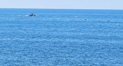 vlcsnap-2024-09-05-19h52m24s611.jpg
