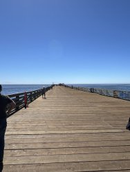 IMG_7592.jpeg