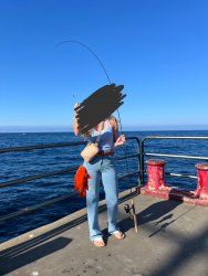 IMG_7209.jpg