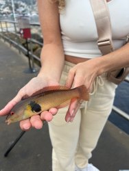 IMG_7218.jpg