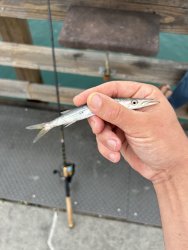 IMG_1431.jpeg