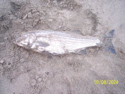 100_4522.JPG