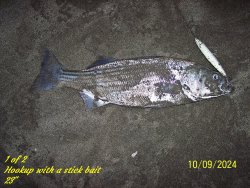 stick1.JPG