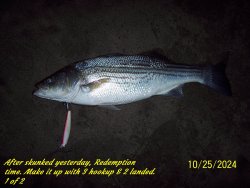 1of 2.JPG