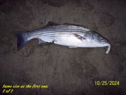 2of2.JPG