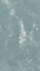 trim.D7C710D8-C159-47FE-8F5F-D5F9551E90E4.gif