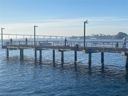 2024.10.26_Embarcadero Marina.1.1.jpg