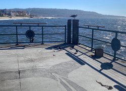 2024.10.29_Redondo Beach Pier.1.2.jpg