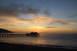 2024.10.30_Malibuu Pier.2.2.jpg