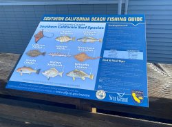 2024.10.28_Newport Pier.1_Fish Chart.jpg