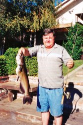 KJ_2005_Catfish_Lodi.jpg