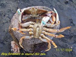 2crabs.JPG