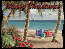 tropical-beach-merry-christmas-8xmsoamswkfcc2ff.gif