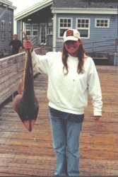 SB_1999_Mary_Shovelnose.jpg