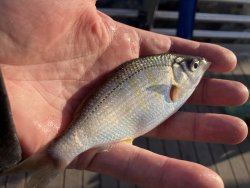 IMG_1001.jpeg