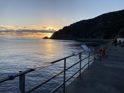 IMG_1041.jpeg