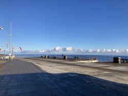 IMG_1046.jpeg