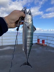 IMG_1050.jpeg