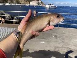 IMG_1066.jpeg