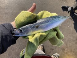 IMG_1047.jpeg