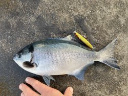 IMG_1074.jpeg
