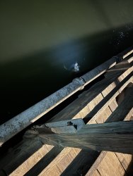 undefined - Imgur (4).jpg