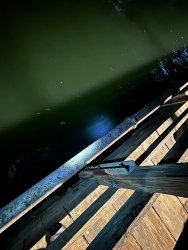 undefined - Imgur (2).jpg