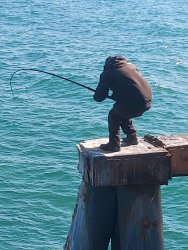 IMG_4917.jpeg