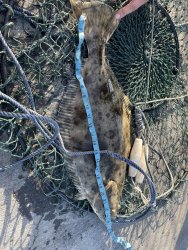 IMG_7571.jpeg
