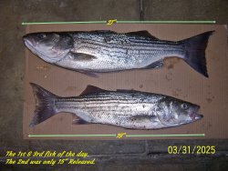 3 again2.JPG