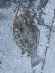 IMG_7616.jpeg