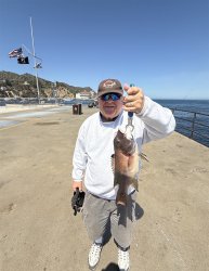 2025.4.7_Cabrillo Mole_Sheephead.copy.jpg