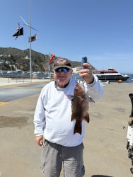 2025.4.7_Cabrillo Mole_Sheephead.2.jpg