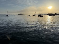 2025.4.8_Catalina dawn.copy.jpg